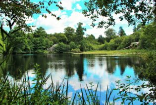 Photo of lake in Lake Wood with summer reflections