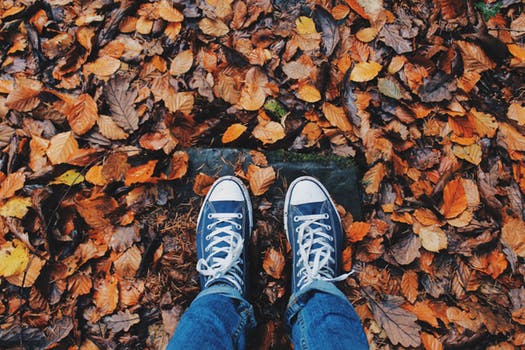 photo of a pair of feet and autumn leaves