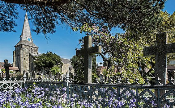 Bluebells at Holy Cross Church