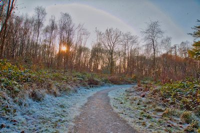 Photo of a path through the woods on a frosty morning