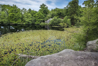 Photo of the lake in Lake Wood, Uckfield