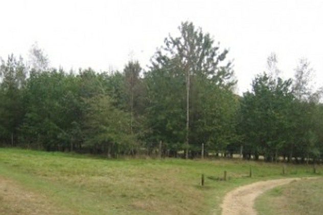 Photo of part of Millennium Green