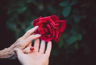Photo of an elderly hand in a young hand to represent dementia