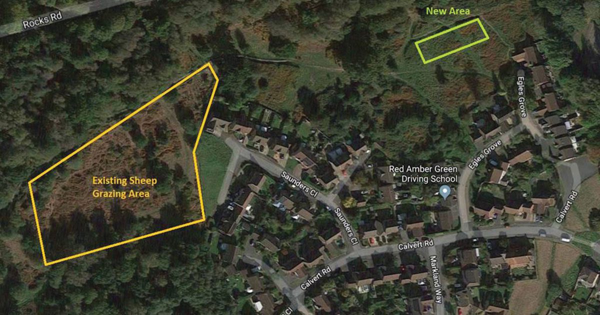 Aerial map of West Park Nature Reserve showing the area where sheep are grazing