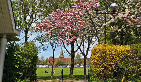 Luxford Field viewed from the steps in front of the civic centre