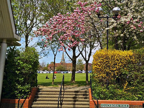 Luxford Field viewed from the steps in front of the civic centre