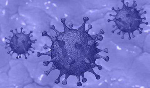 Coronavirus image