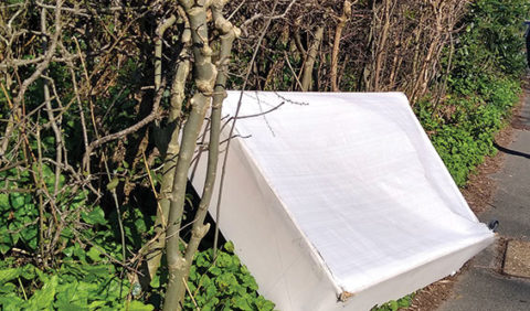 photo of discarded bed mattress at side of road