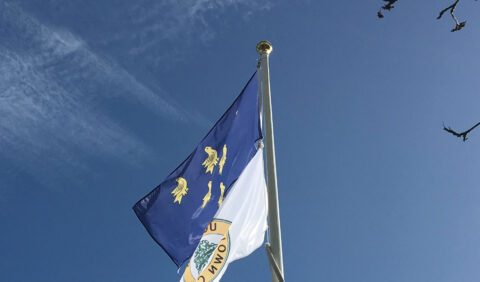 Photograph of the Sussex Flag flying from the Civic Centre flag pole