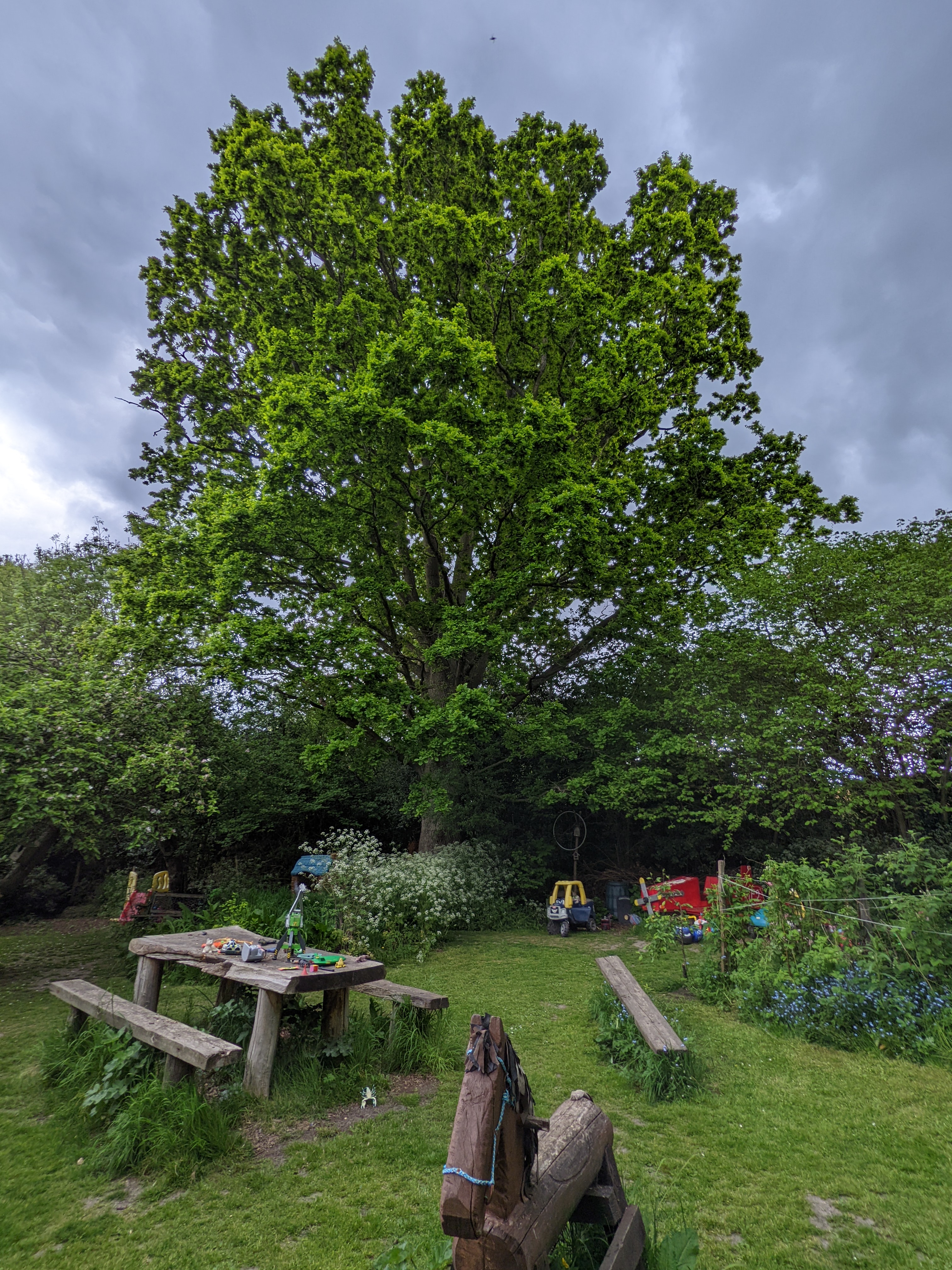 Selby Meadow