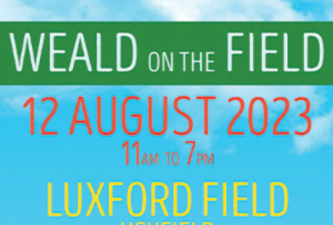 Weald on the Field words