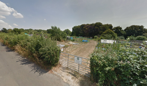 New Road, Hedge cutting