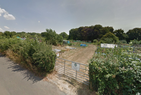 New Road, Hedge cutting