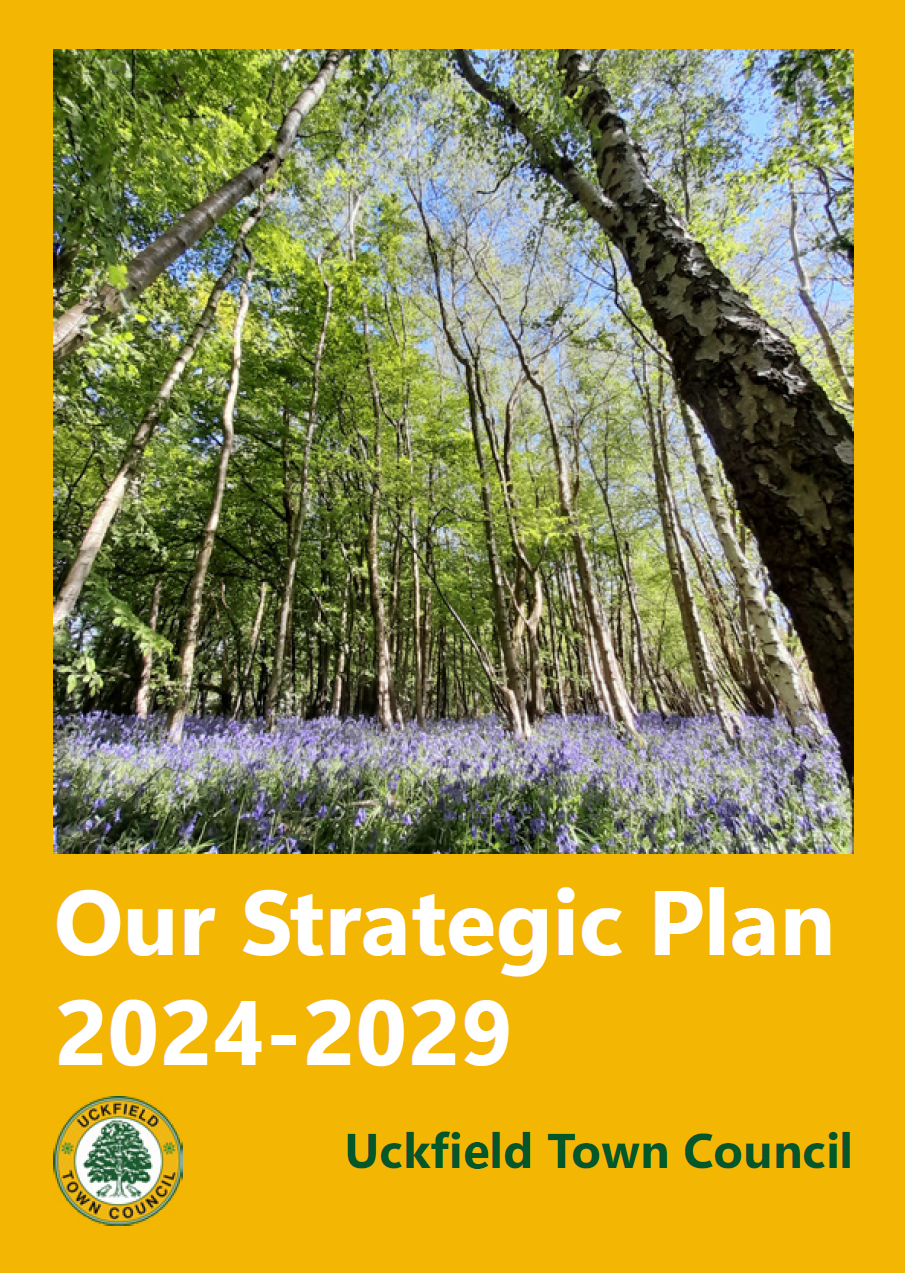 Plans and Budgets